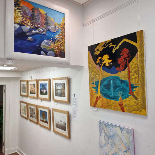 Our beautiful new exhibition is open now!