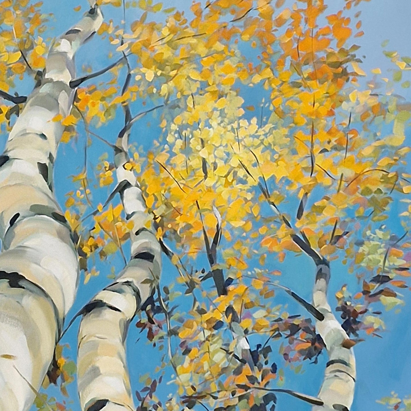 Birch Perspective | Oil on Canvas