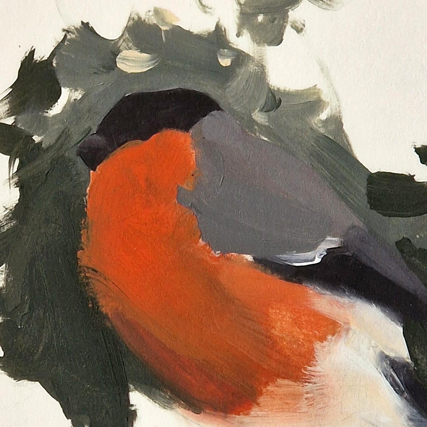 Bullfinch 5/125 | Giclee Print
