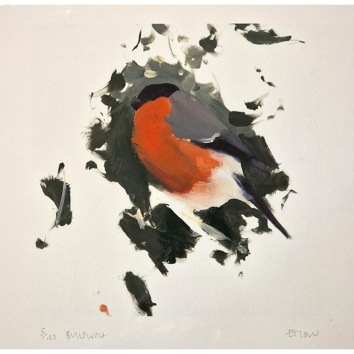Bullfinch 5/125 | Giclee Print