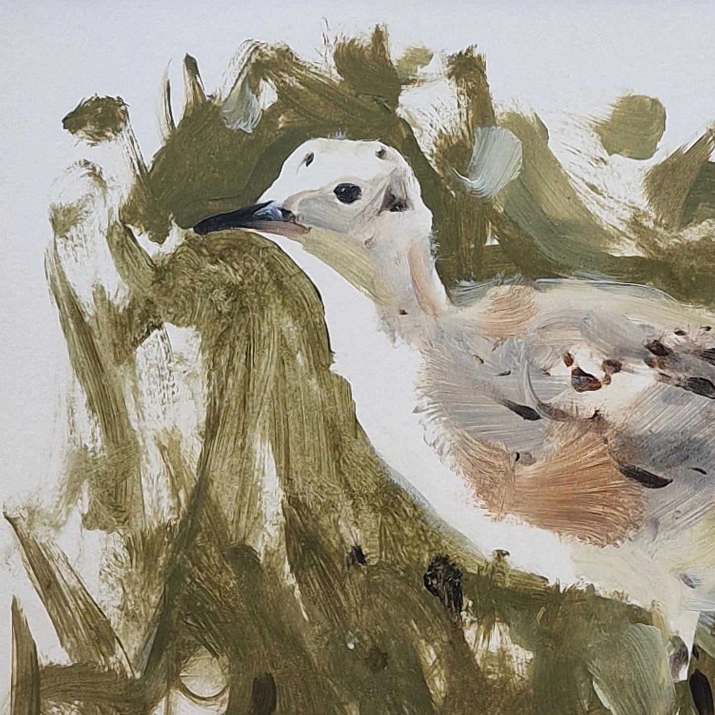 Curlew Chick, Chasing a Bug | Oil