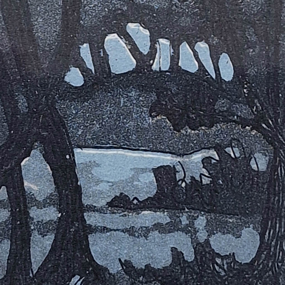 Dark Copse 8/50 | Aquatint Etching