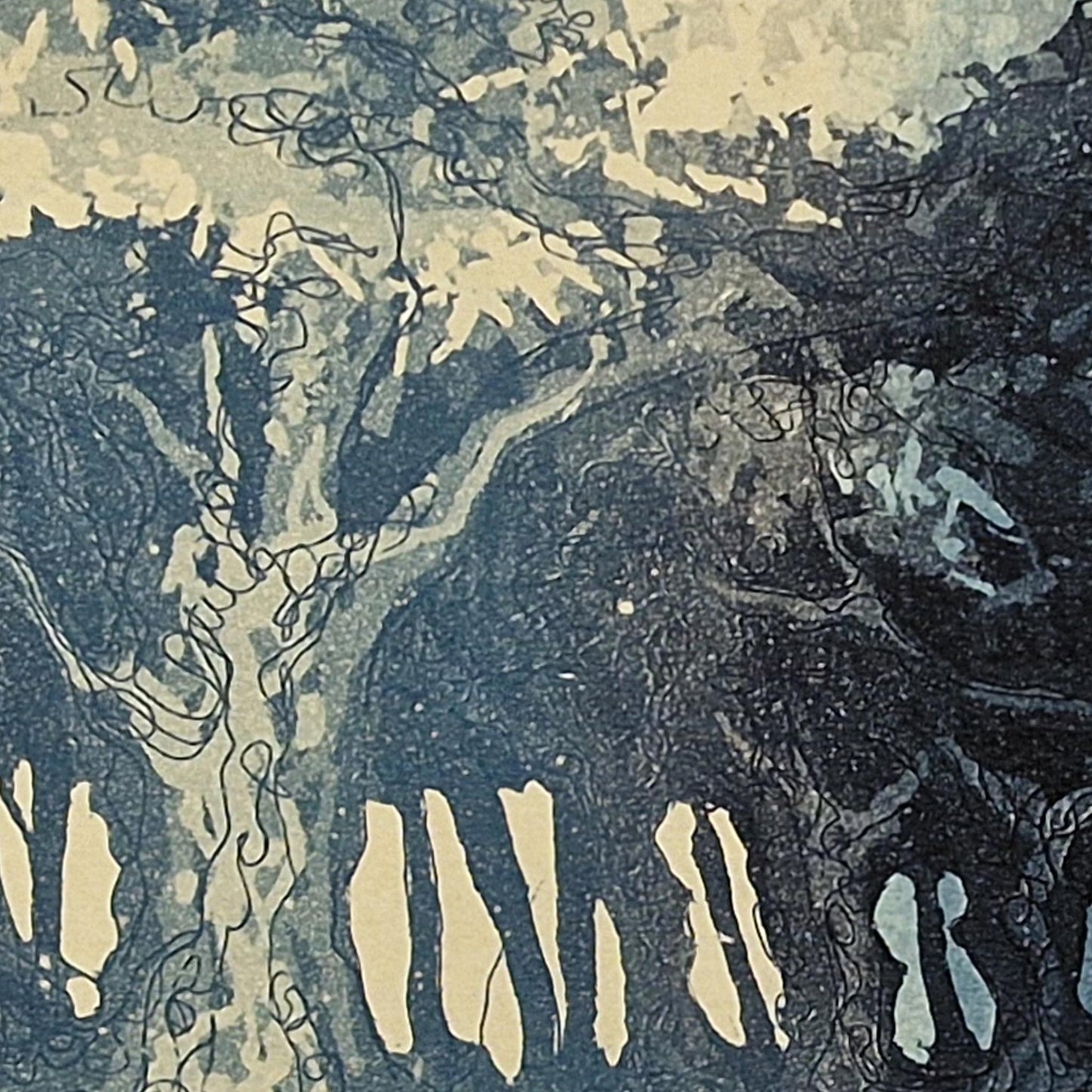 Dark Woods, Sunstruck 16/50 | Aquatint Etching