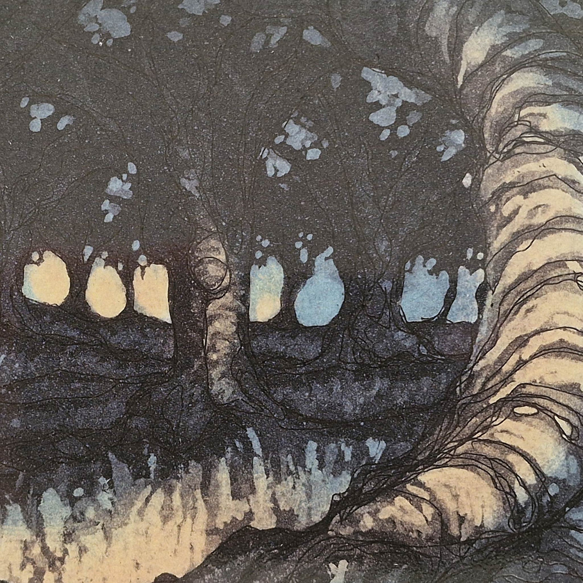 Deep Woods 12/50 | Aquatint Etching