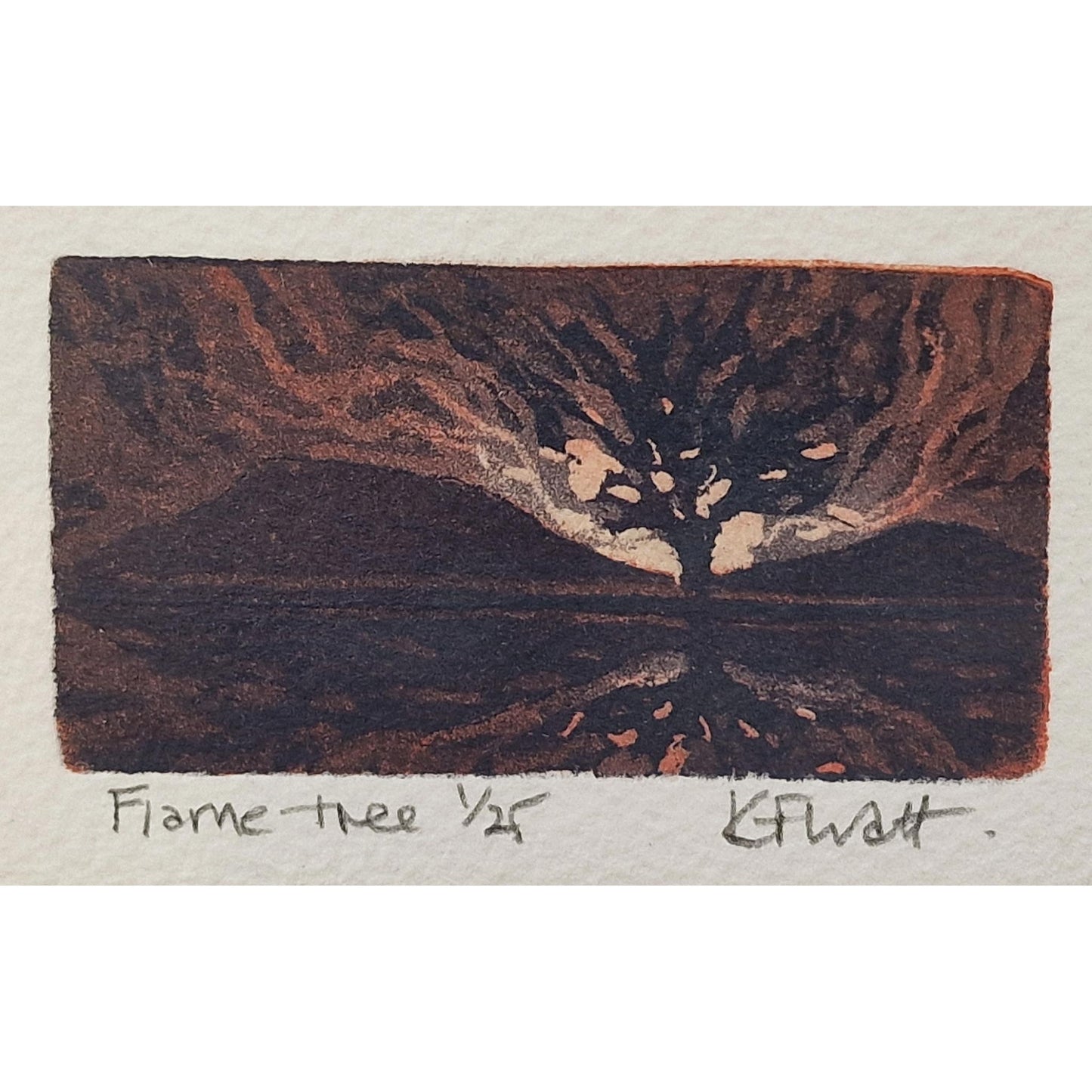 Flame Tree 1/25 | Aquatint Etching