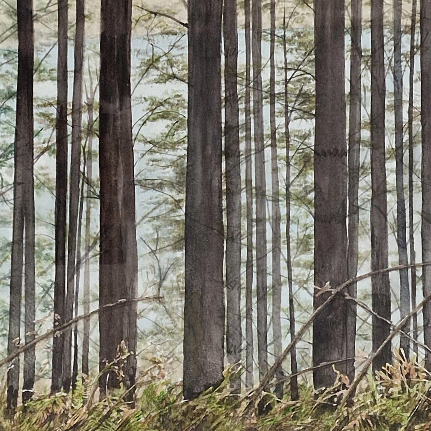 Forest Track Above Loch Barcasaid, Skye | Watercolour