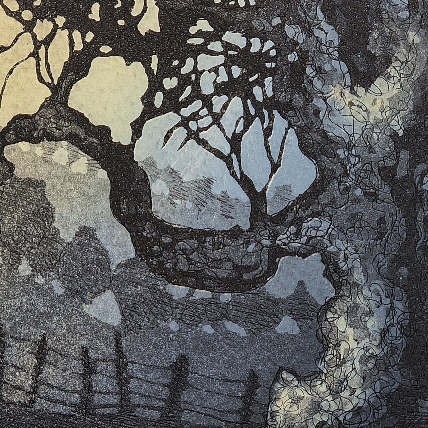 Gnarled Tree 16/50 | Aquatint Etching
