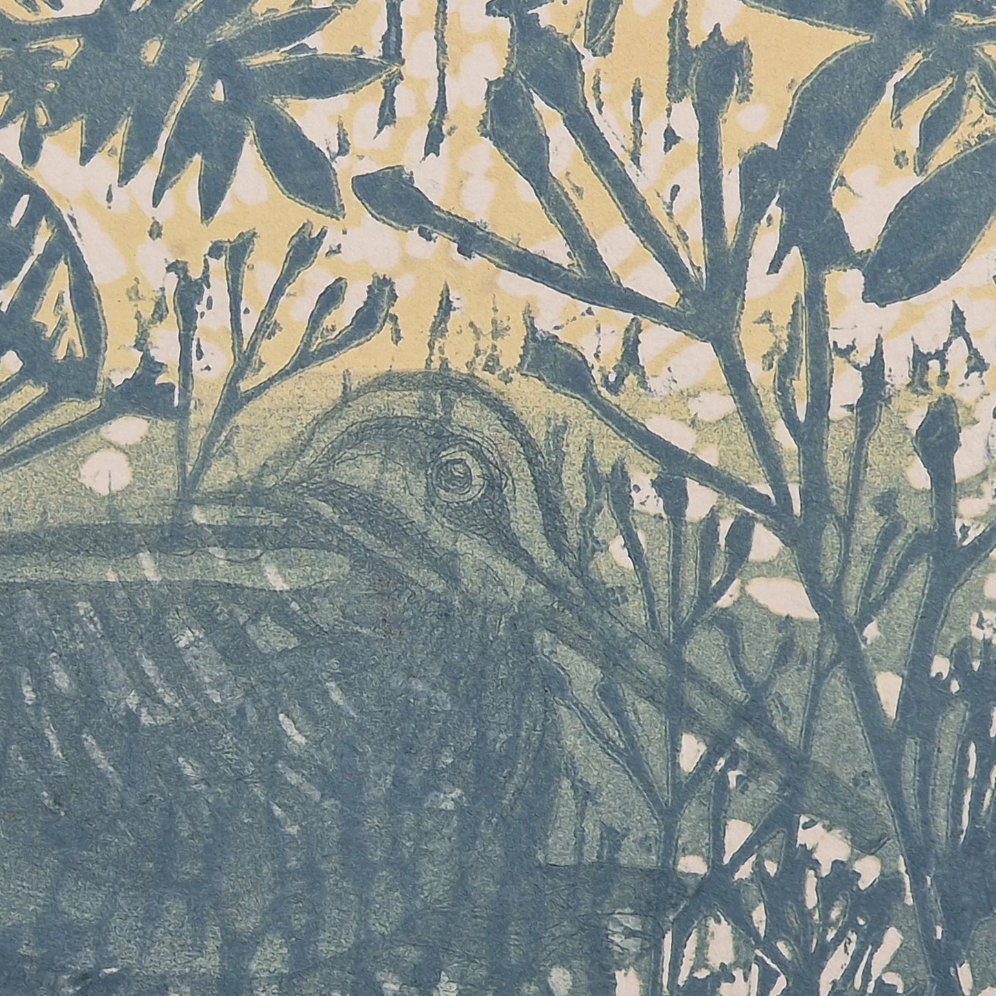 Hidden Snipe 3/80 | Aquatint Etching