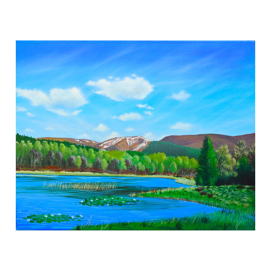 Lilies in the sun | Acrylic on Linen