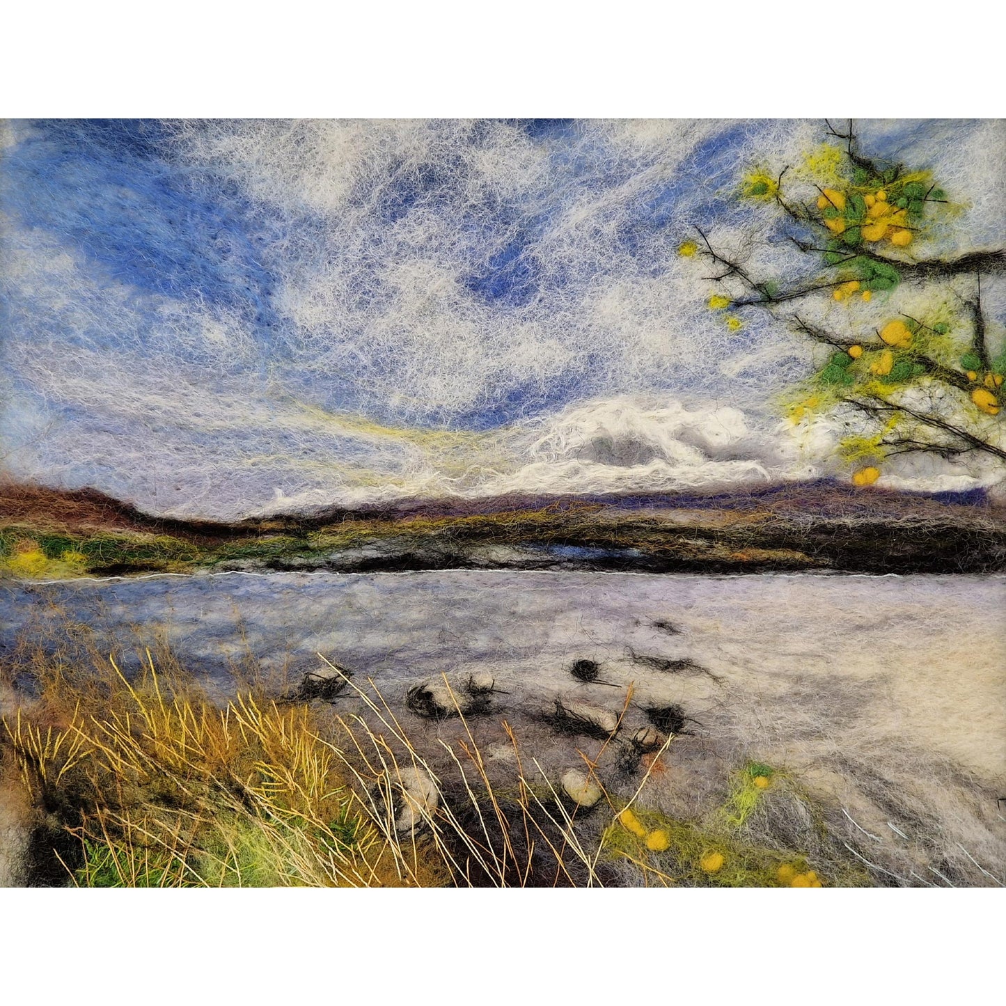 Loch Morlich | Felt