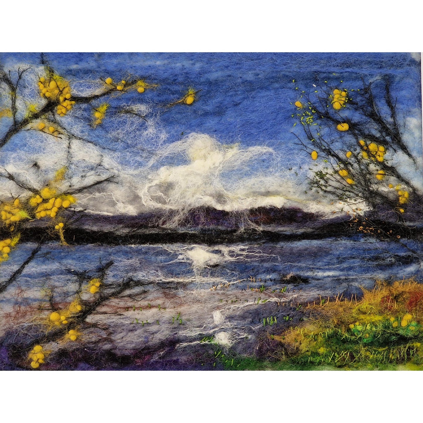 Loch Morlich | Felt
