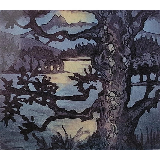 Old Pine 12/25 | Aquatint Etching