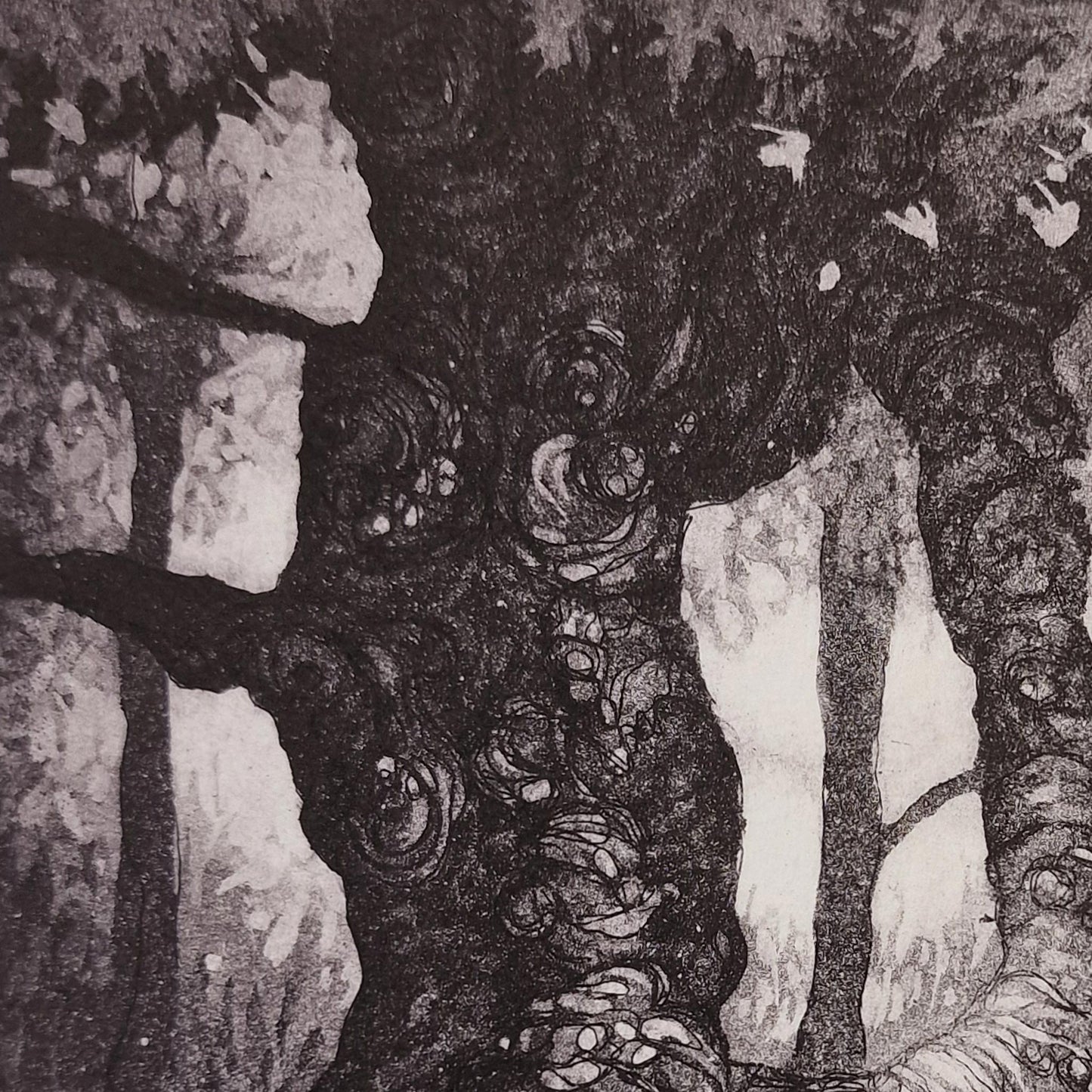 Sanctuary 16/25 | Aquatint etching