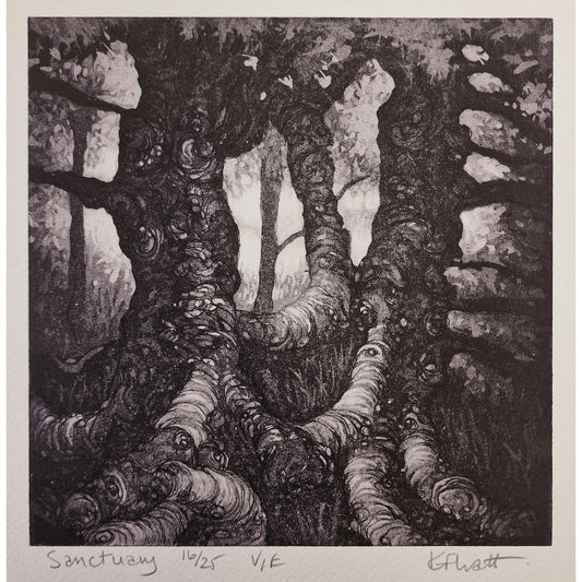 Sanctuary 16/25 | Aquatint etching