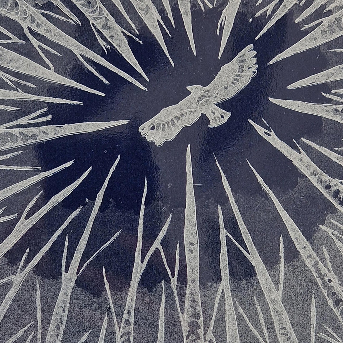 Silver Birch 17/25 | Aquatint Etching