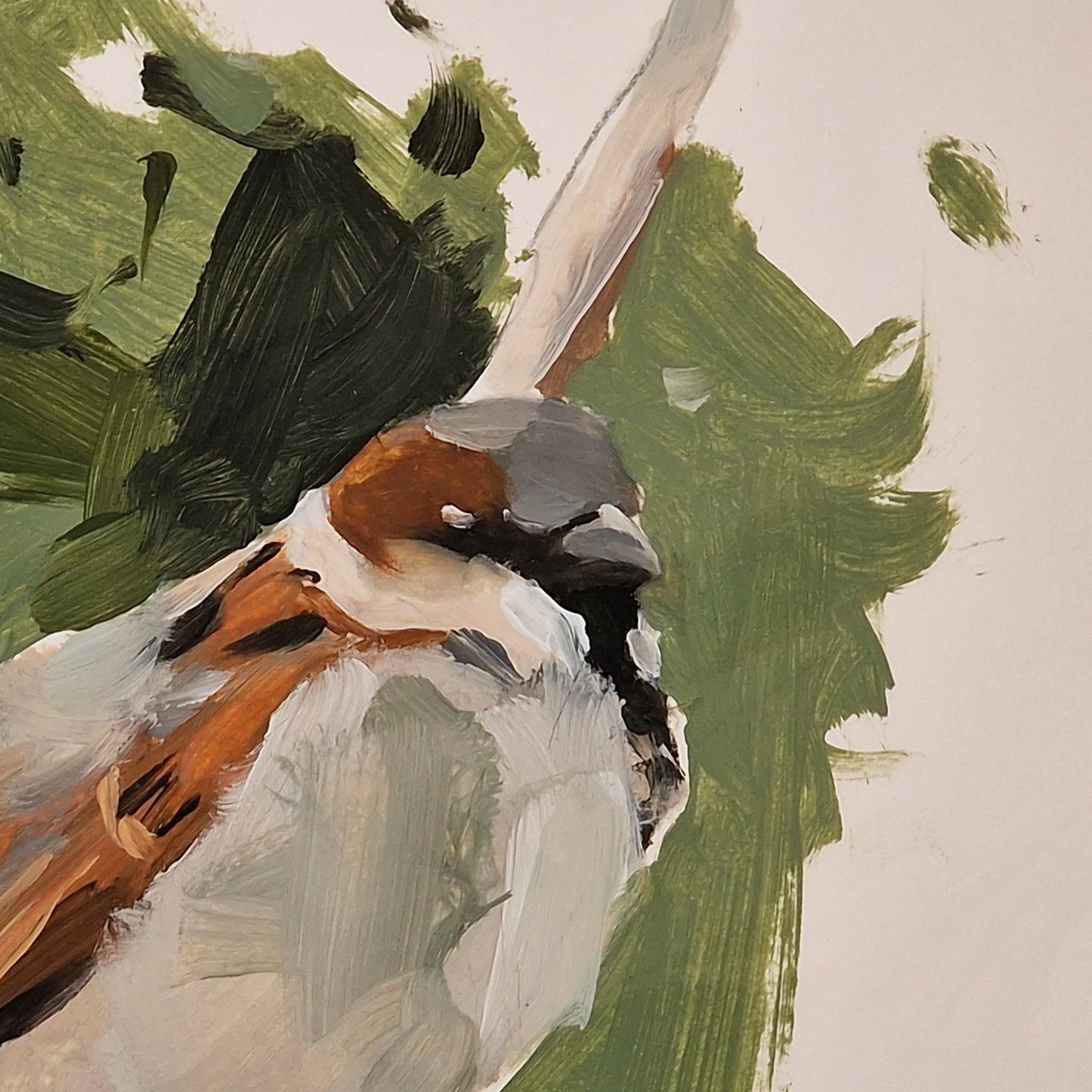 Sparrow  | Oil