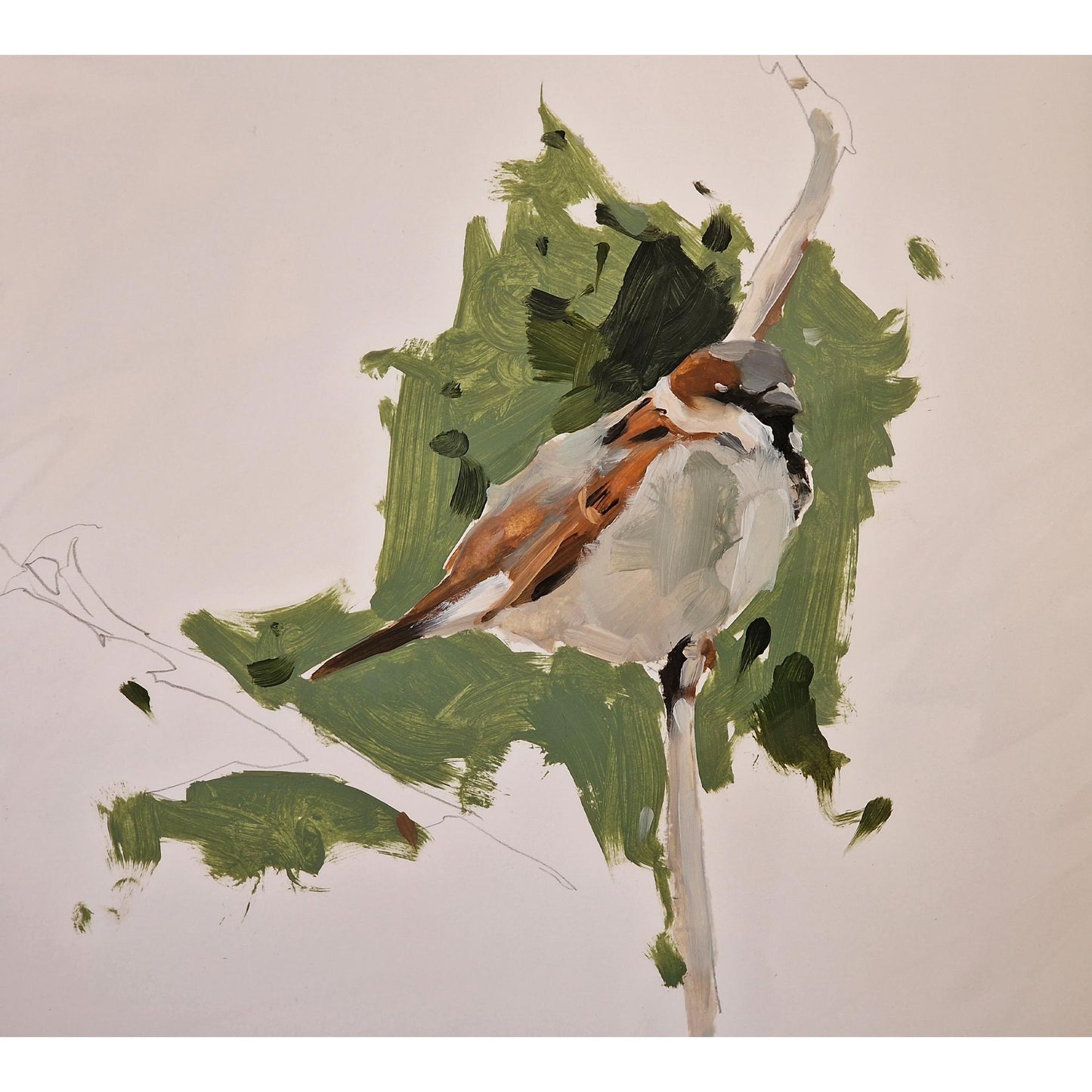 Sparrow  | Oil