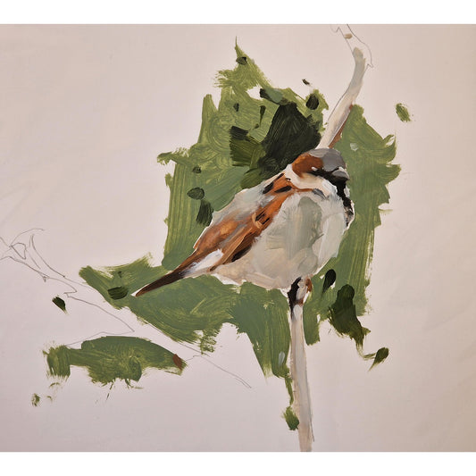 Sparrow  | Oil