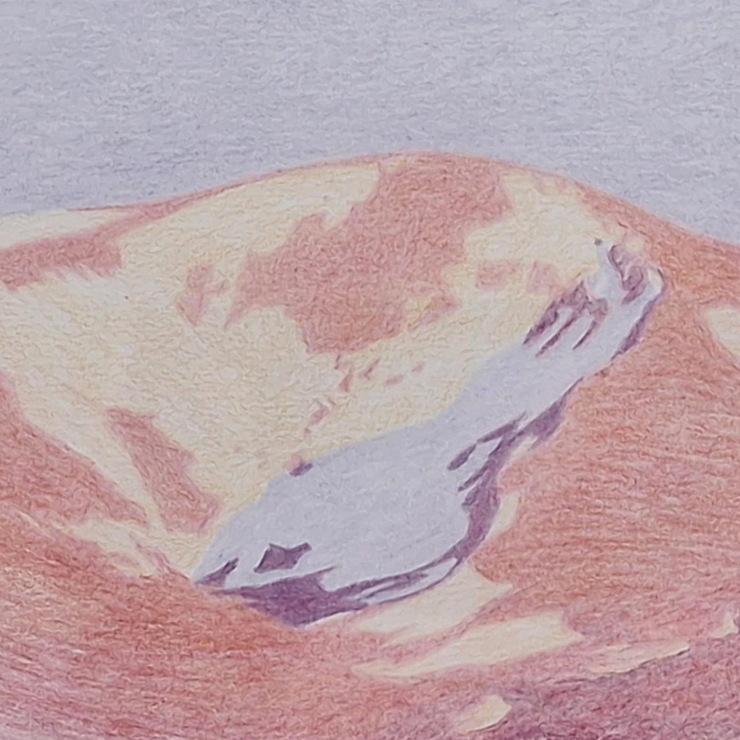 Spring Snow: Coire Ruadh | Coloured Pencil