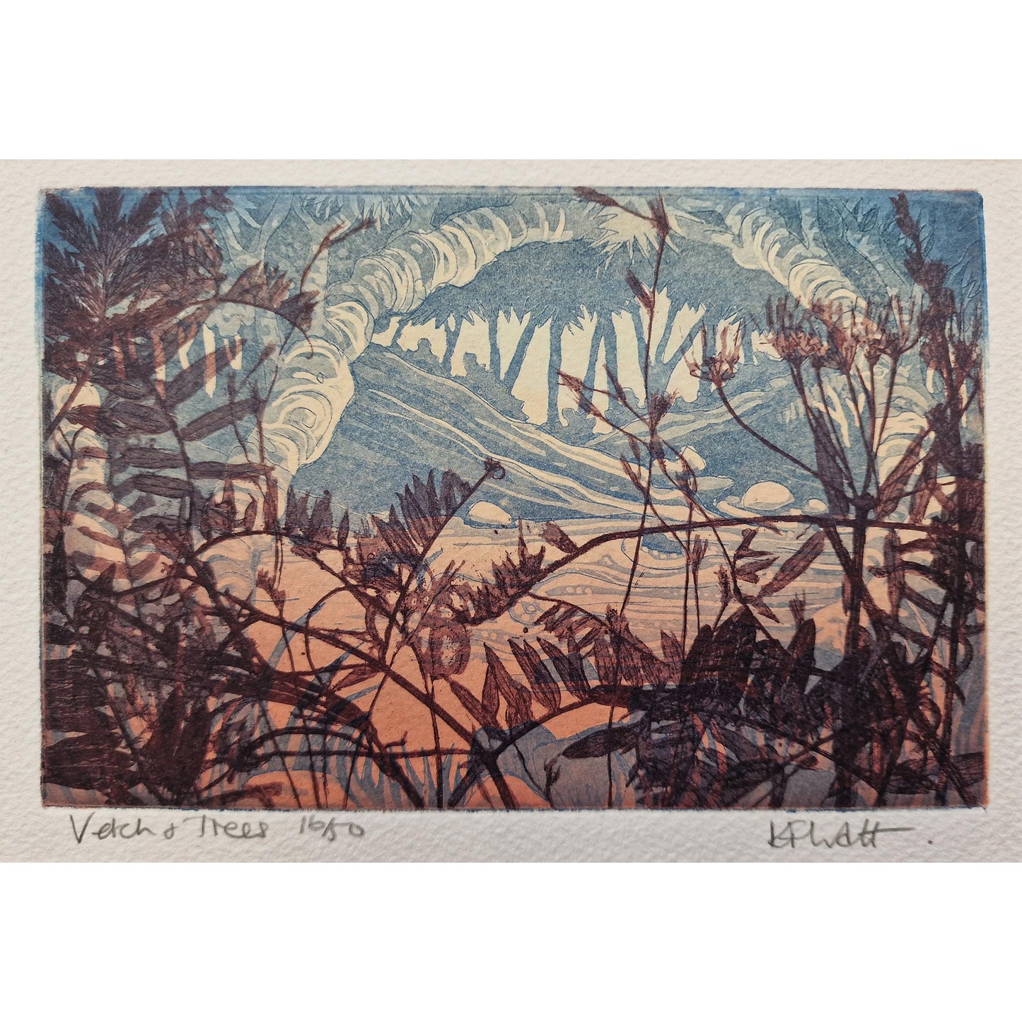 Vetch & Trees 16/50 | Aquatint Etching