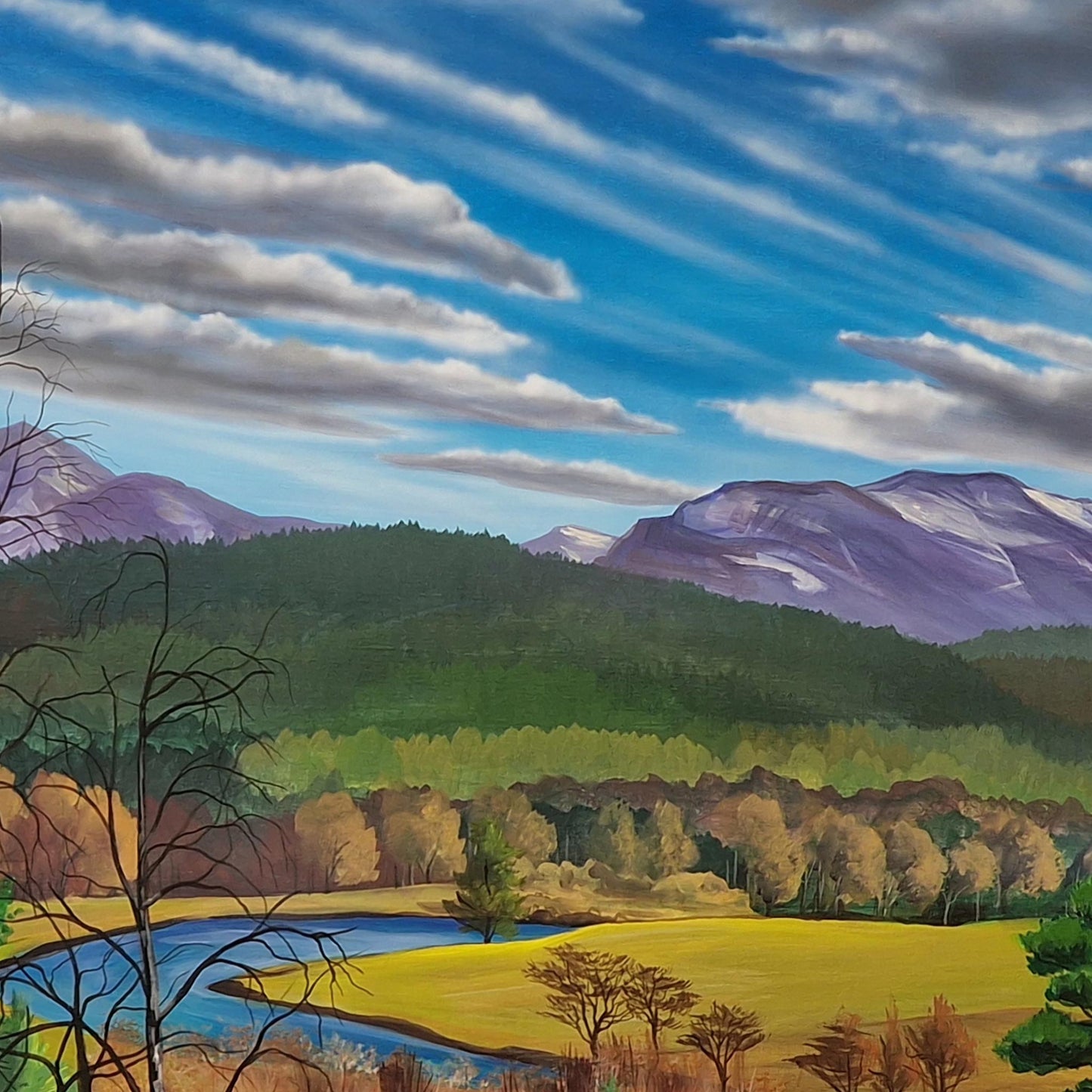 View from Glenbeg | Acrylic