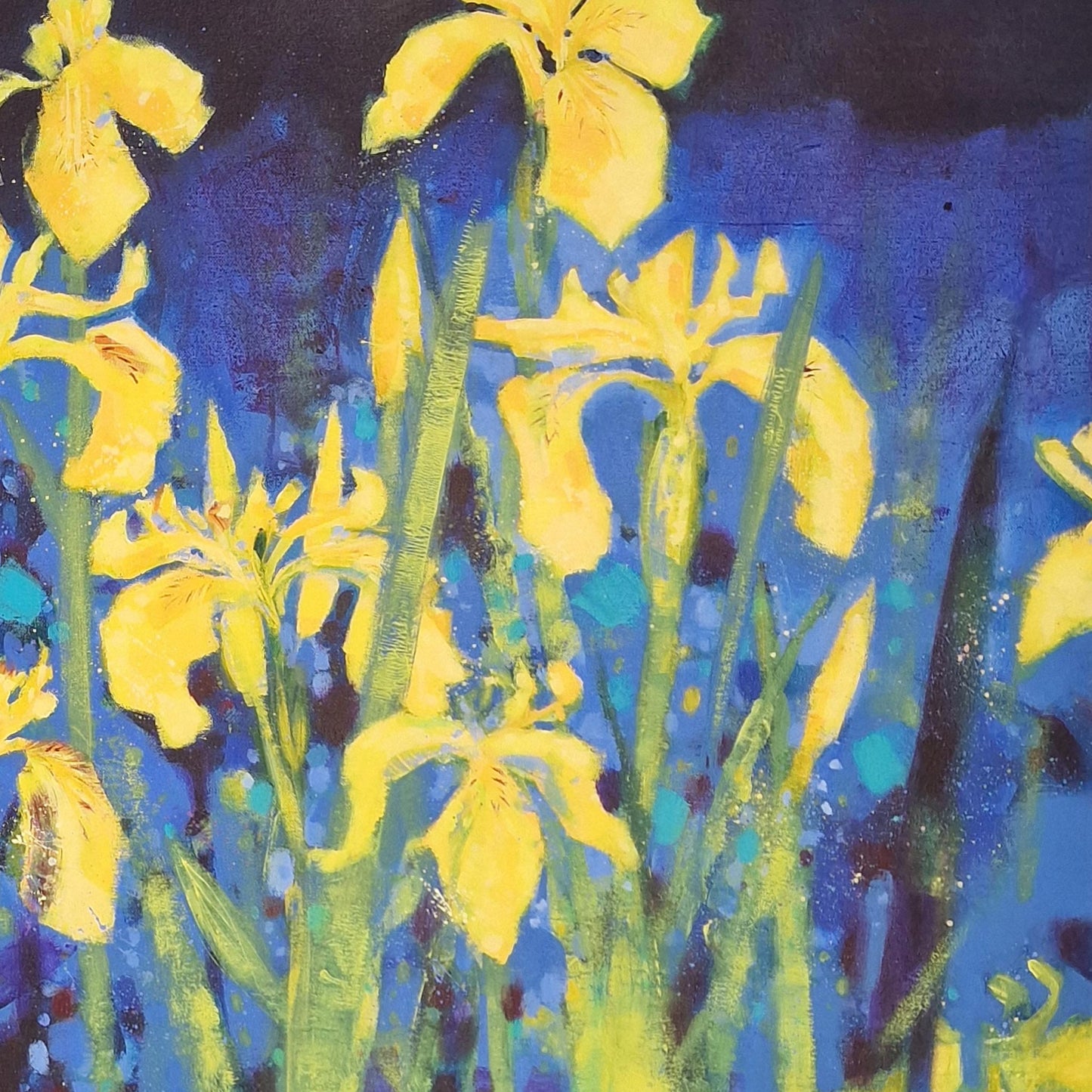 Wild Flag Irises |