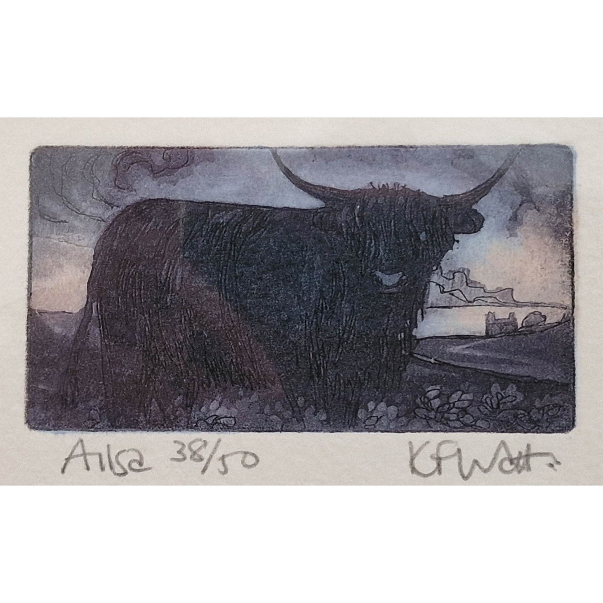 Aquatint etching of a Highland cow by Kitty Watt. On sale at the spey Bank Studio