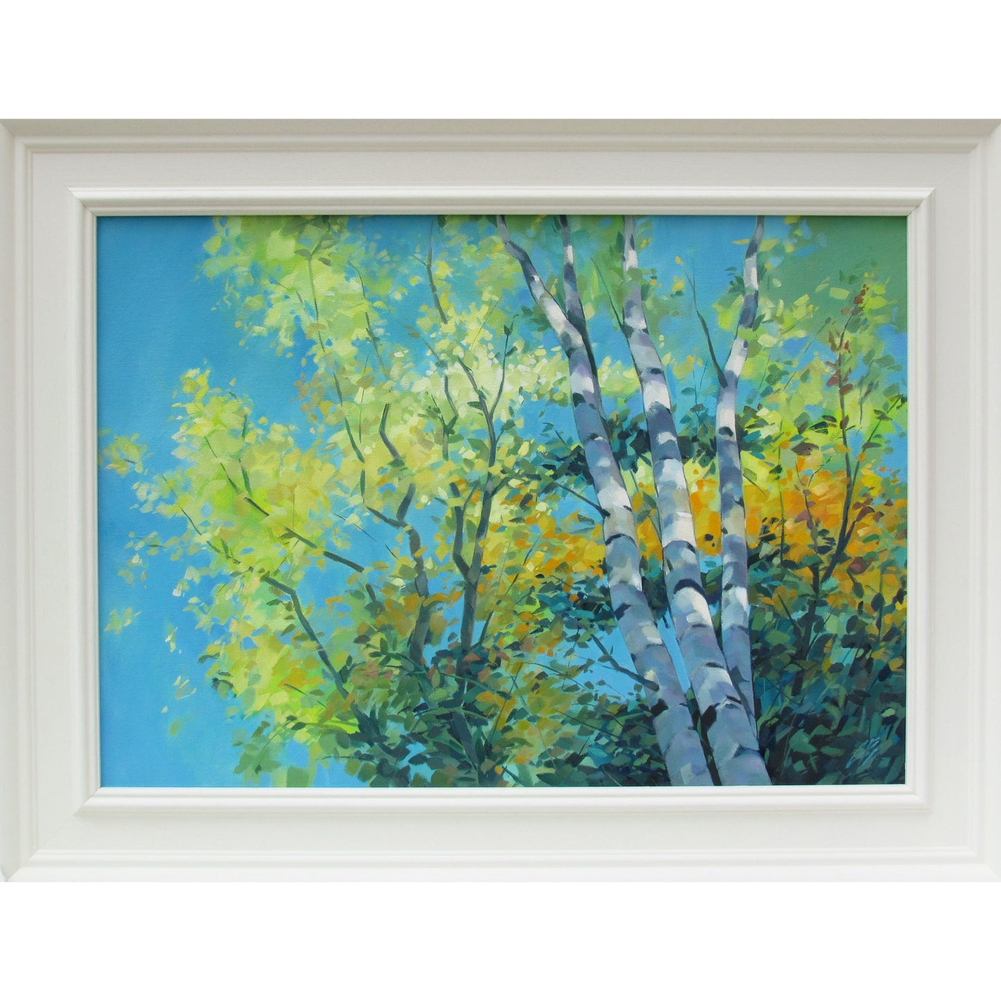 Birch Canopy | Oil on Canvas