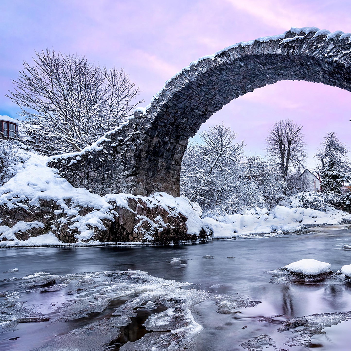 Carrbridge Ice | Photograph