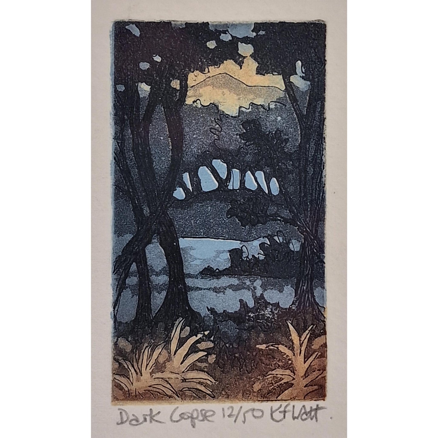Dark Copse 12/50 | Aquatint Etching