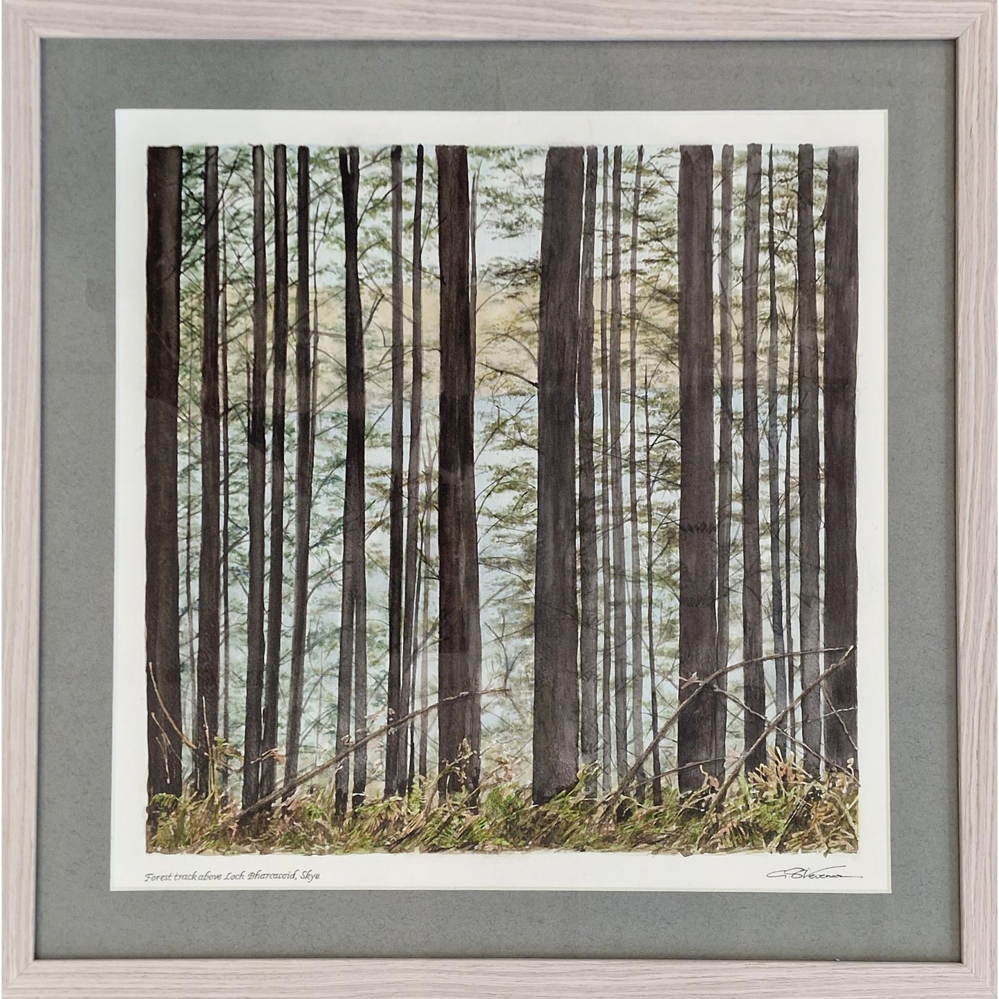Forest Track Above Loch Barcasaid, Skye | Watercolour