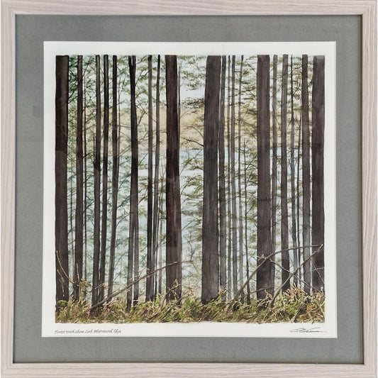 Forest Track Above Loch Barcasaid, Skye | Watercolour