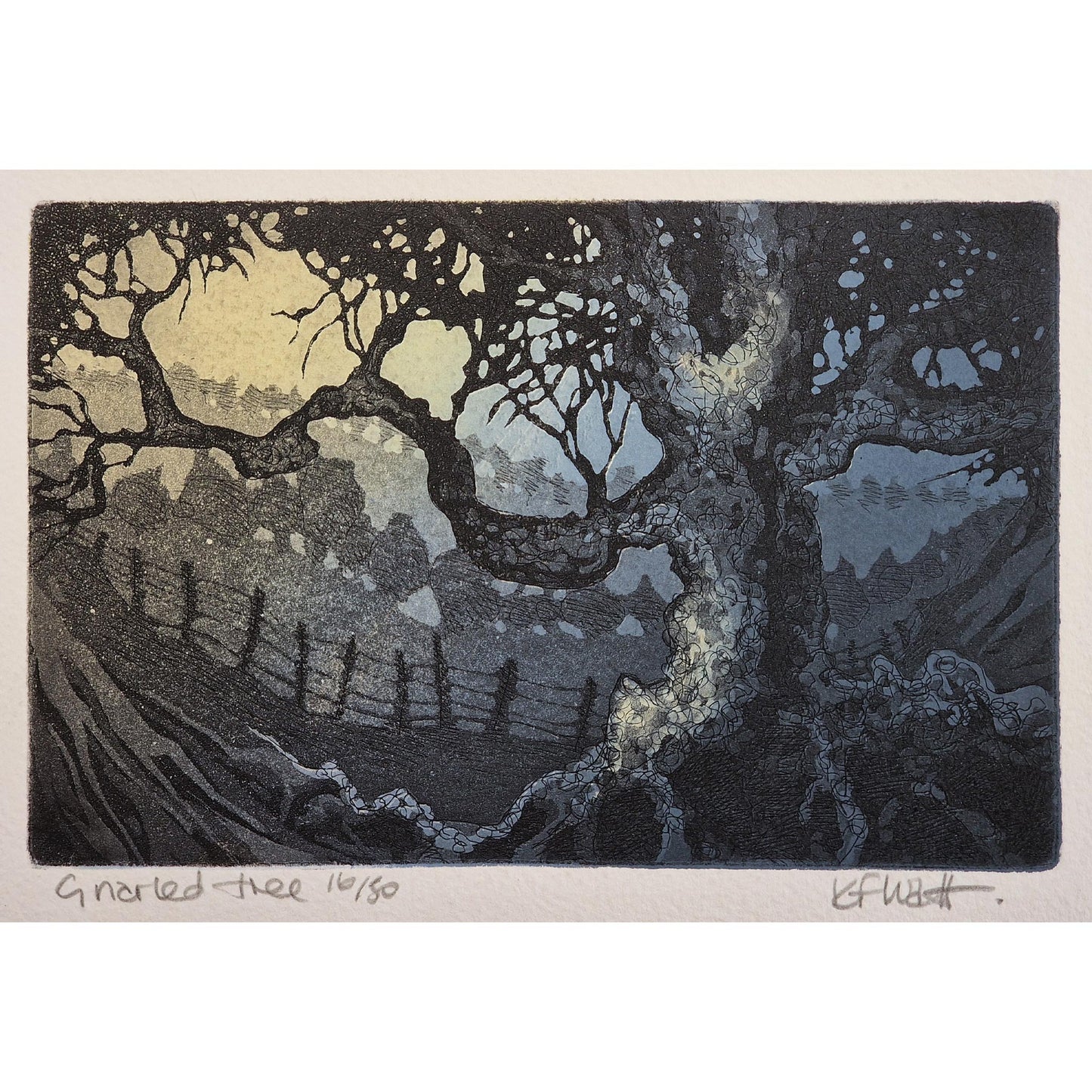 Gnarled Tree 16/50 | Aquatint Etching