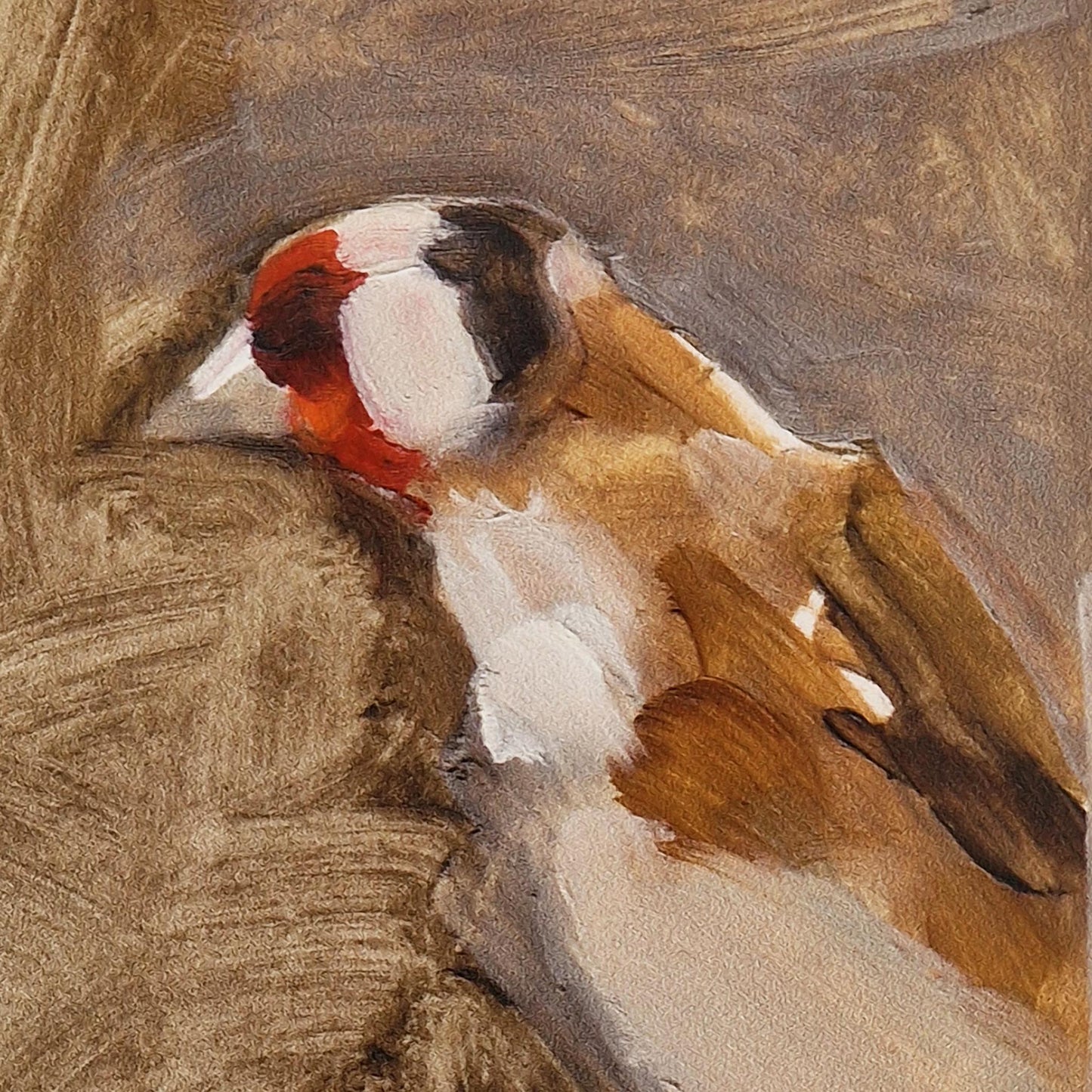Goldfinch on Feeder | Giclee Print