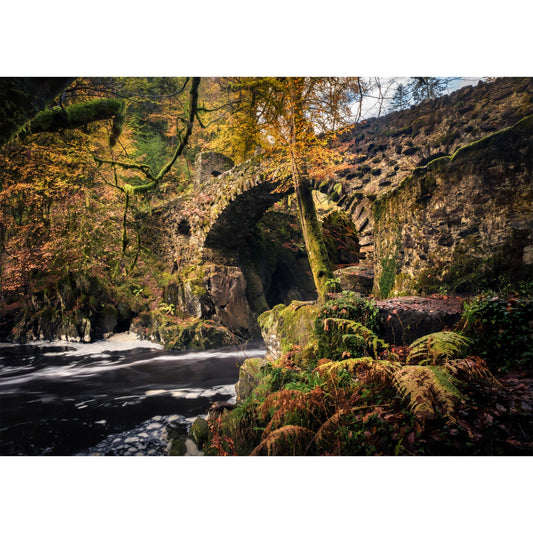 Hermitage Autumn | Photograph