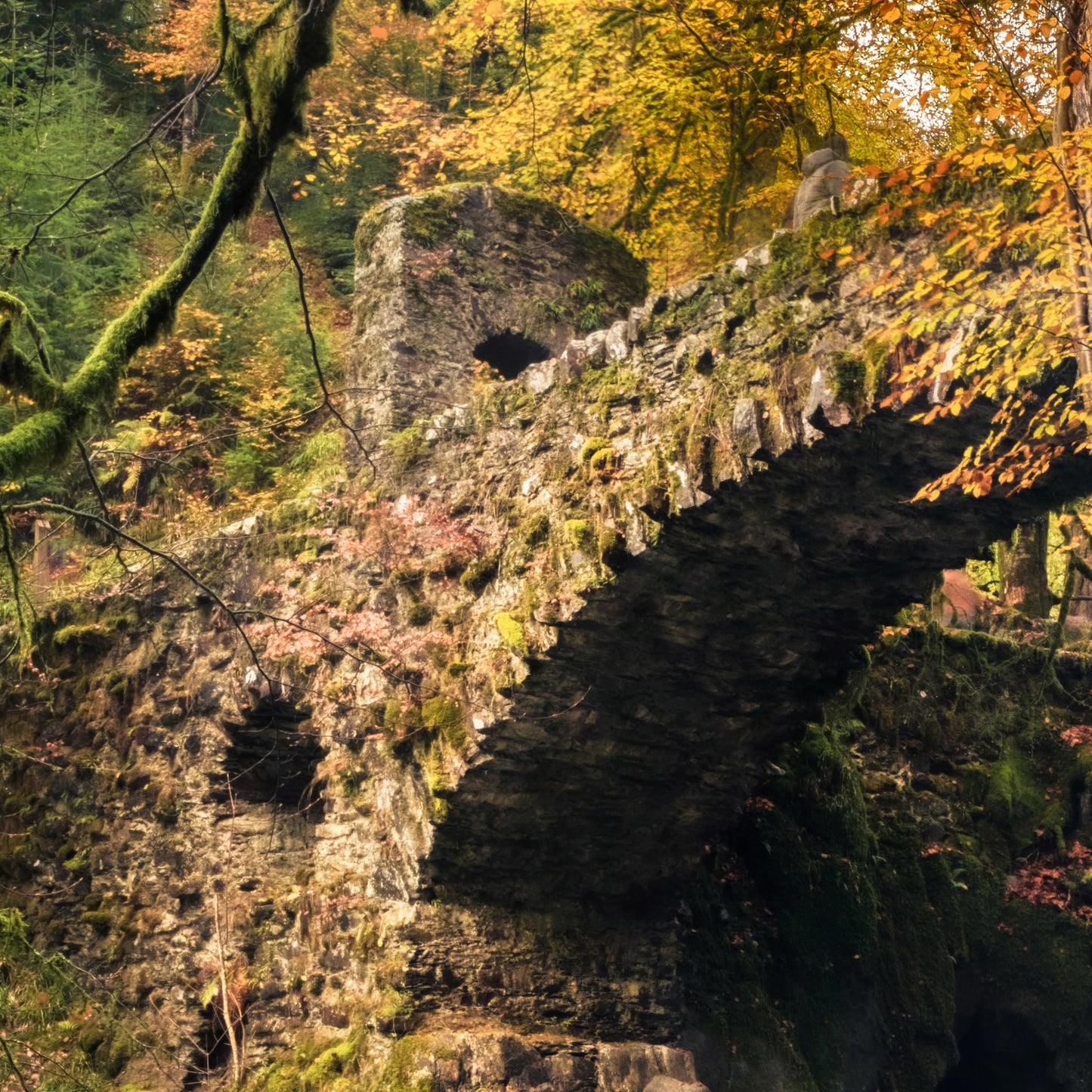 Hermitage Autumn | Photograph