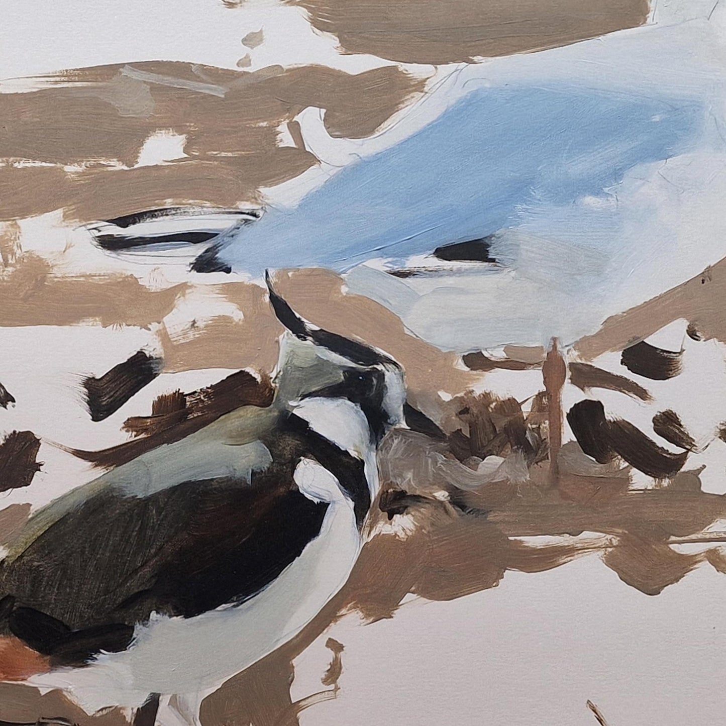 Lapwing and Gull | Oil