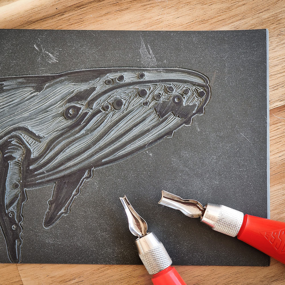a linocut of a humpback whale, with two carving tools
