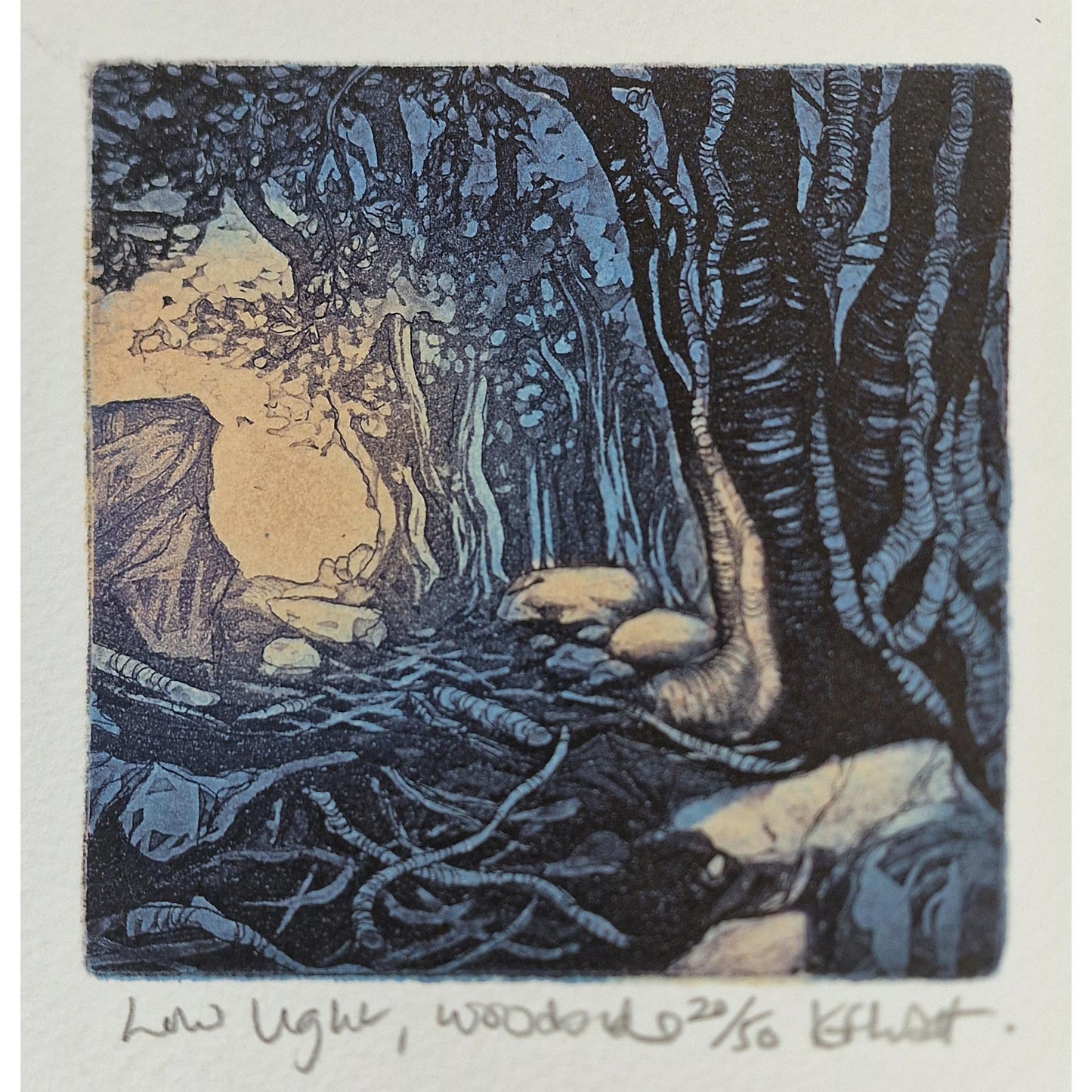 Low Light, Woodside 20/50 | Aquatint Etching