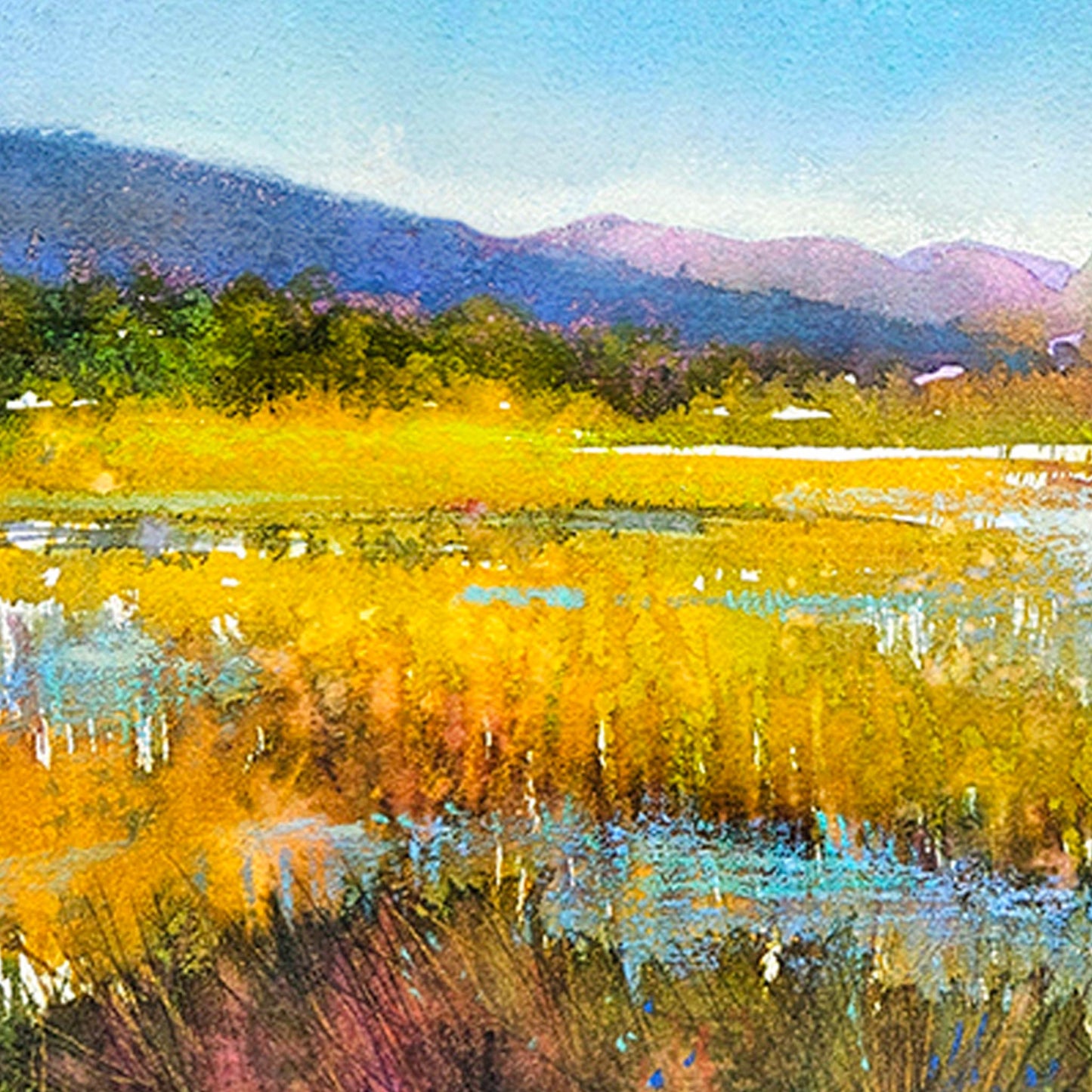 Marshlands | Mixed Media
