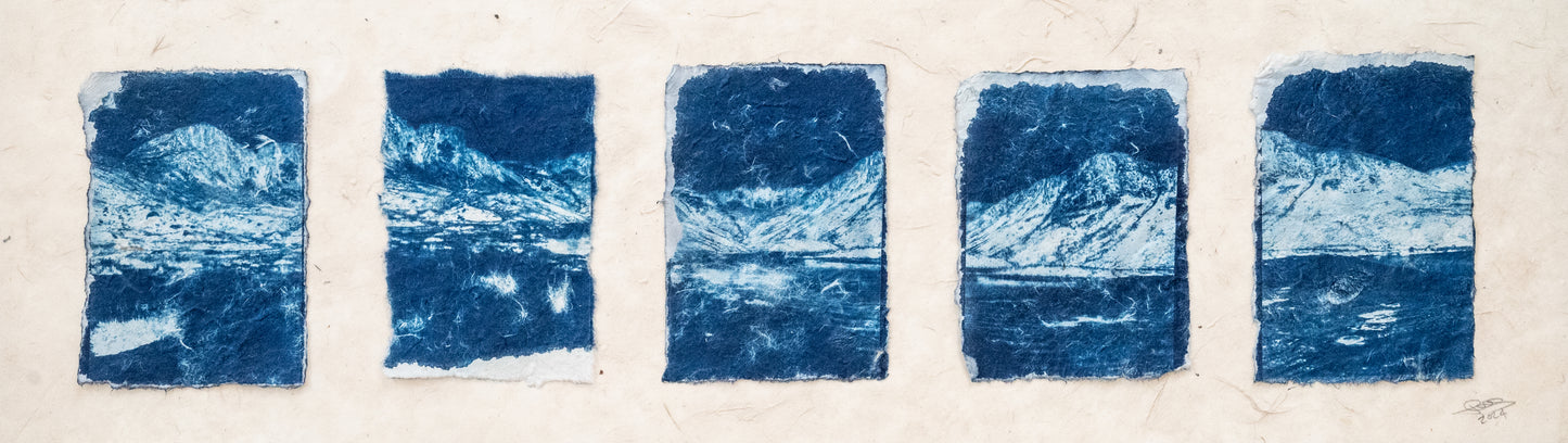 Mineral Path V cyanotype by Jess Greaves