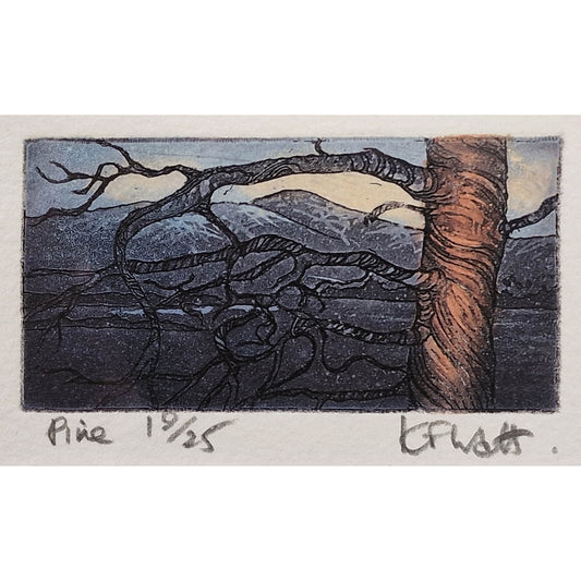 Pine 19/25 | Aquatint Etching