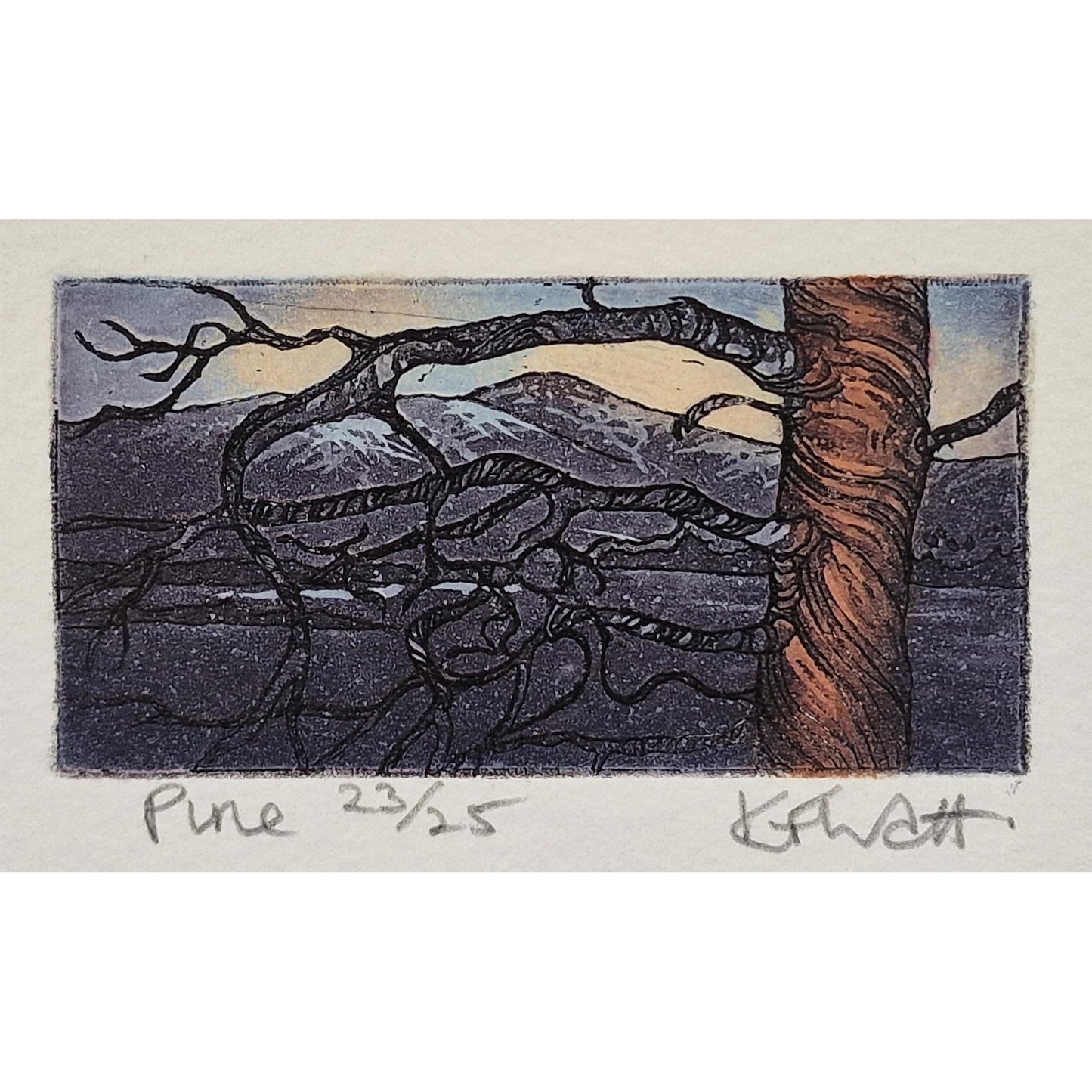 Pine 23/25 | Aquatint Etching