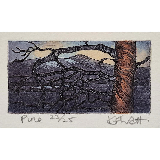 Pine 23/25 | Aquatint Etching