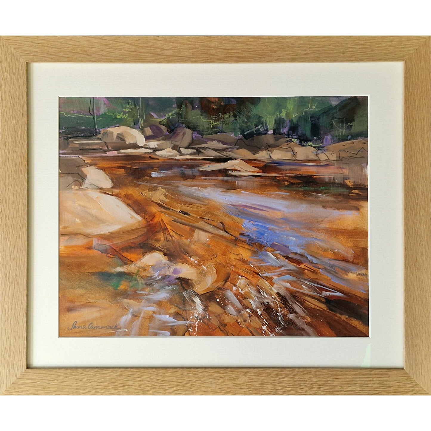 Cairngorm River Study
