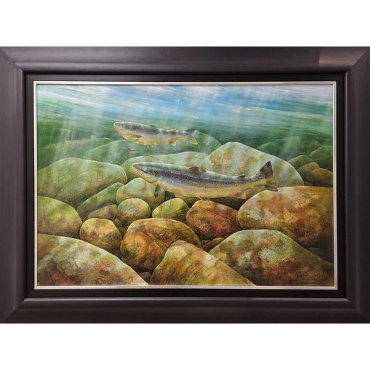 Salmon Underwater | Oil