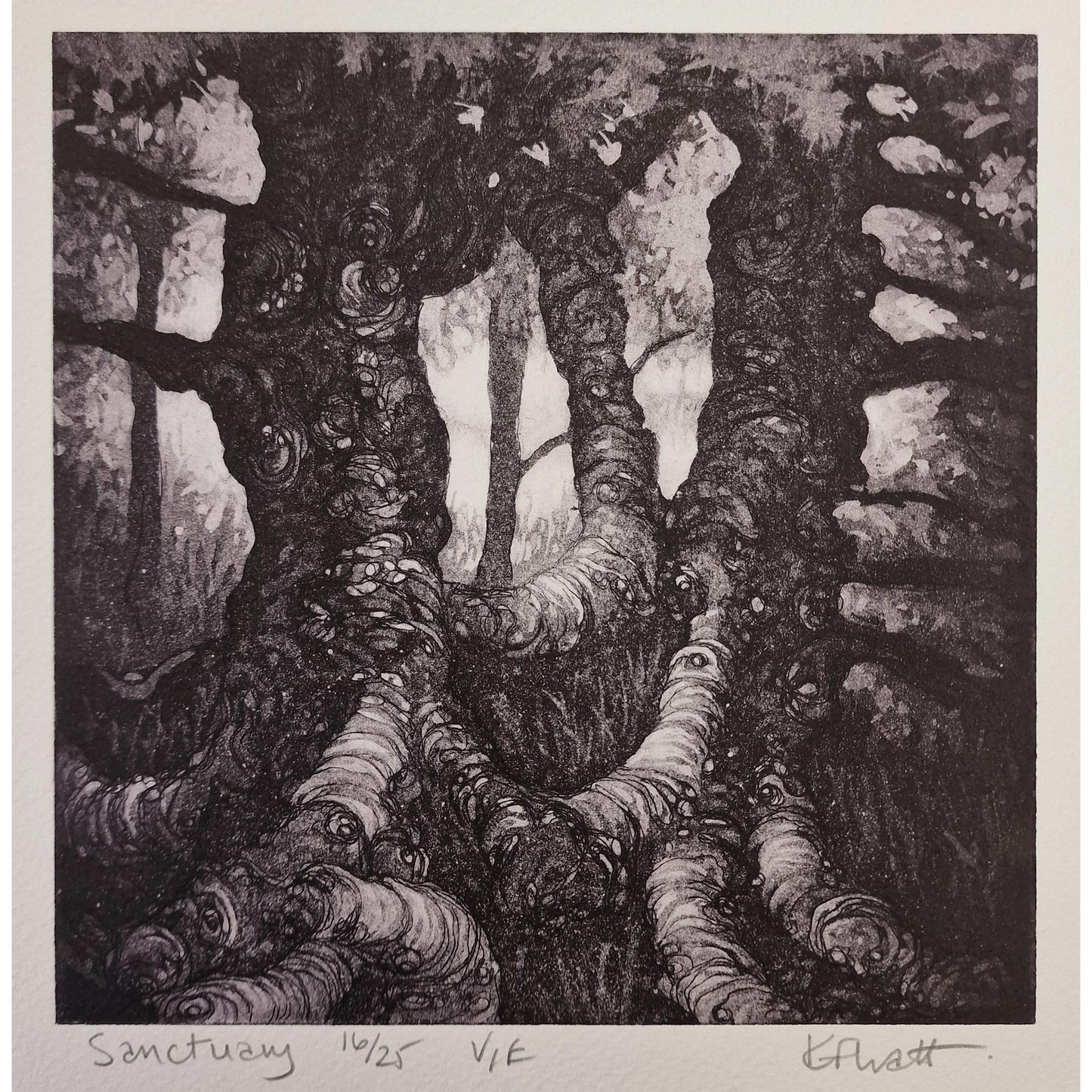 Sanctuary 16/25 | Aquatint etching