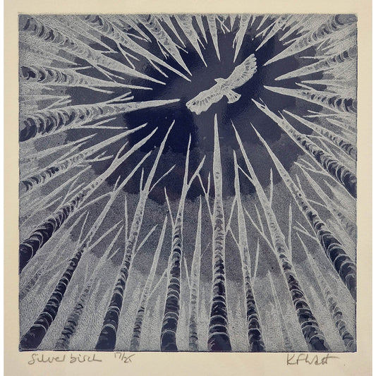 Silver Birch 17/25 | Aquatint Etching
