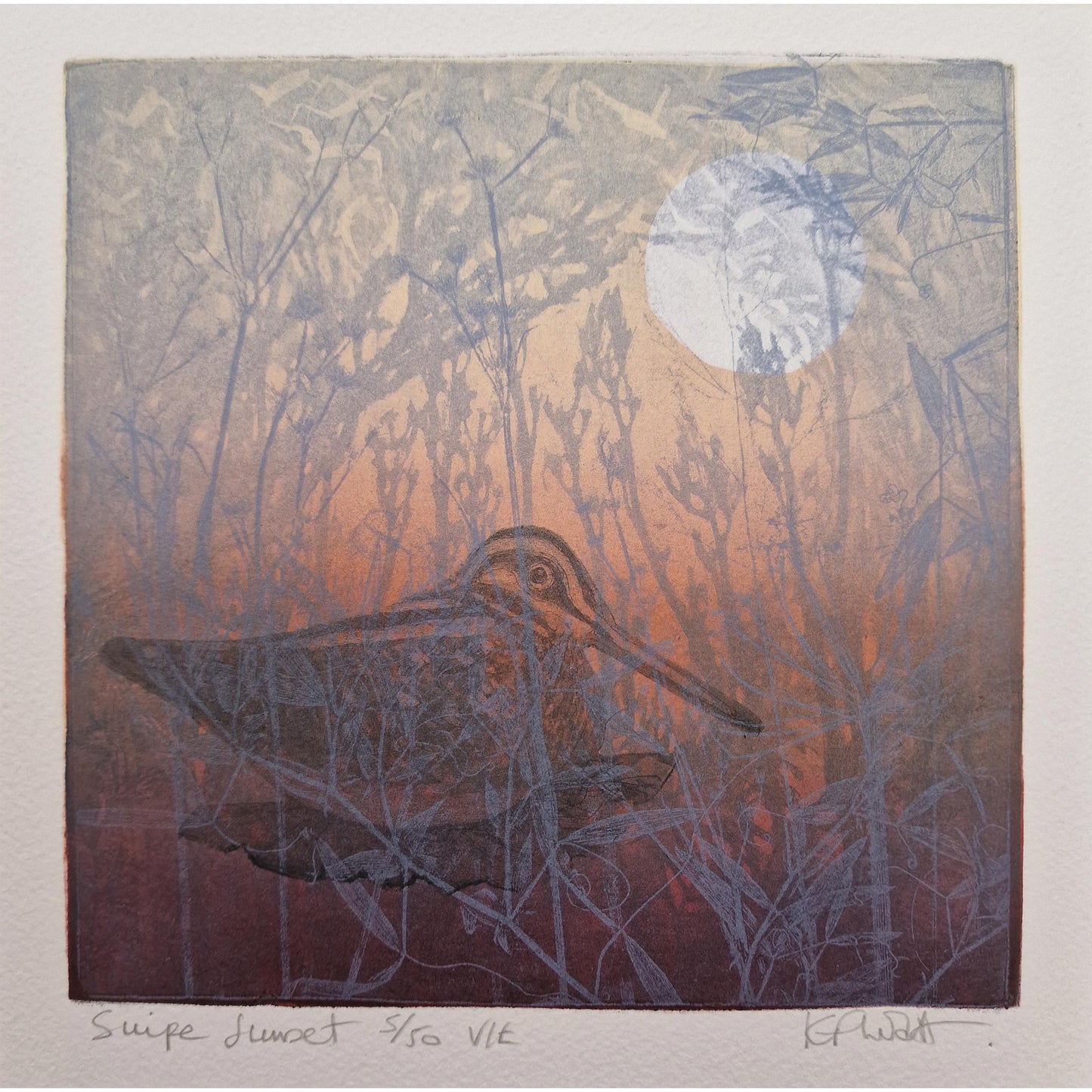 Aquatint etching by Kitty Watt, depicting a snipe in the rushes at sunset.