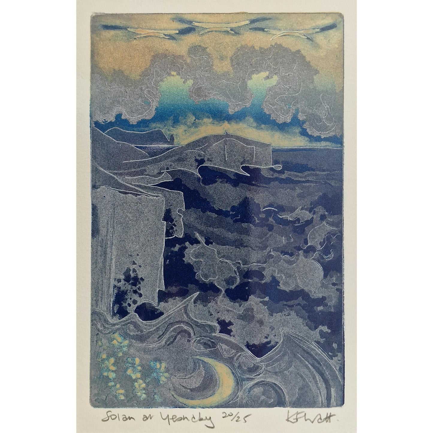 Solan at Yesnaby 20/25 | Aquatint Etching